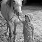 Admiration